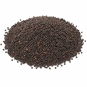 আস্ত সরিষা (১কেজি) - Mustard Seeds (1kg)