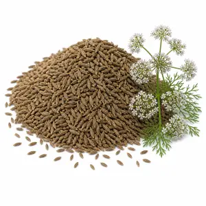 আস্ত জিরা – Cumin Seeds