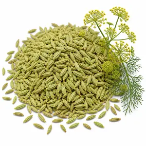 মৌরি (মিষ্টি জিরা) – Fennel Seeds
