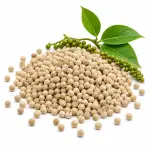 সাদা গোলমরিচ – White Pepper