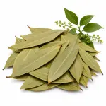 তেজপাতা – Bay Leaves