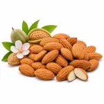 কাঠবাদাম – Almond