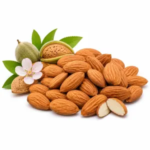 কাঠবাদাম – Almond