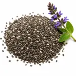 চিয়া সিড – Chia Seed