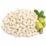 কাজুবাদাম – Cashew Nut
