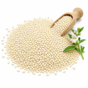 সাদা তিল – White Sesame Seed